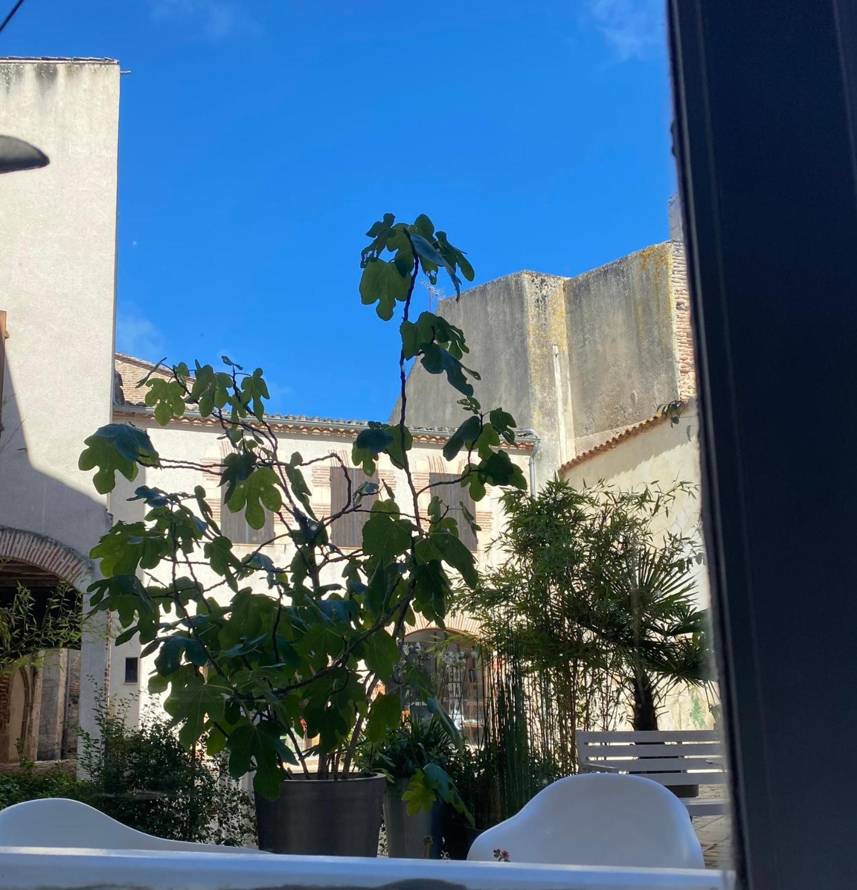 La Maison Sur La Place Penne-dʼAgenais Dış mekan fotoğraf
